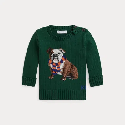 Polo Ralph Lauren Babies' Dog-intarsia Sweater In New Forest | ModeSens