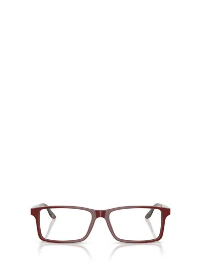 Ralph Lauren Eyeglasses In Brown