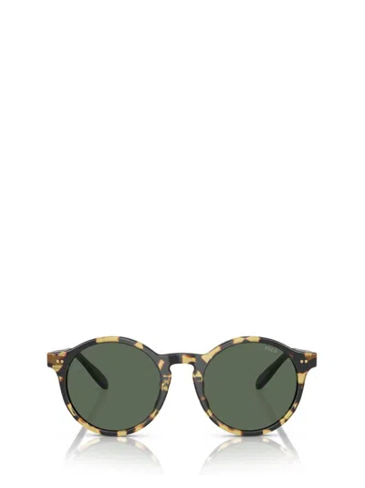 Ralph Lauren Eyewear Round Frame Sunglasses In Multi