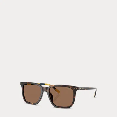 Polo Ralph Lauren Heritage Rugby-stripe Sunglasses In Shiny Dark Havana