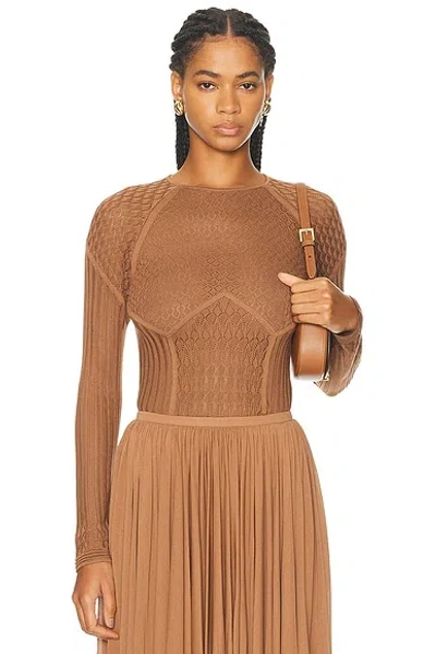 Ralph Lauren Lace Pointelle Raglan-sleeve Sweater In Brown