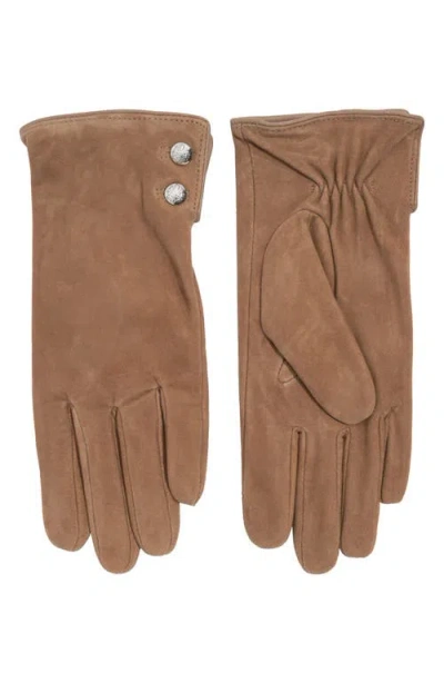 Ralph Lauren Lauren  Crest Button Suede Gloves In Brown