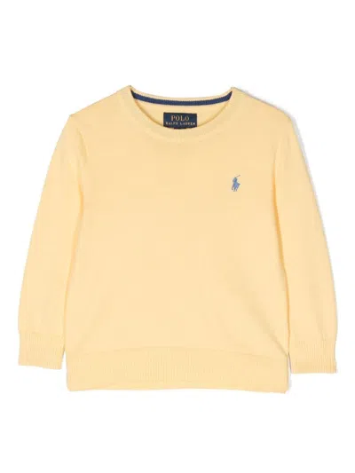 Polo Ralph Lauren Kids' Embroidered-logo Crew-neck Jumper In Yellow