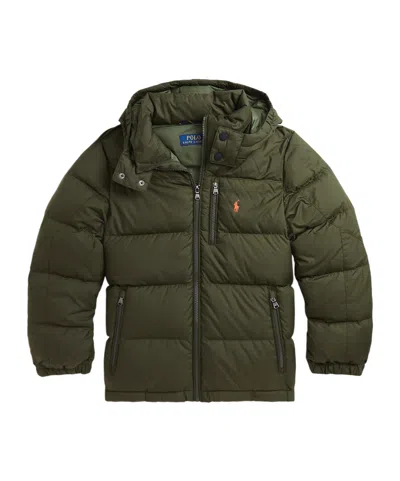 Polo Ralph Lauren Long-sleeved Cotton Clothes In Green
