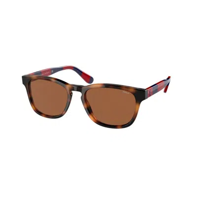 Ralph Lauren Men's Sunglasses  Ph4170-530373  53 Mm Gbby2 In Brown