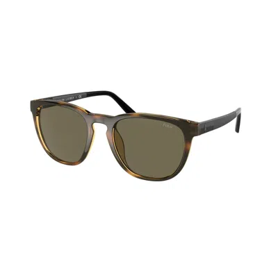 Ralph Lauren Men's Sunglasses  Ph4182u-5003-3  53 Mm Gbby2 In Brown