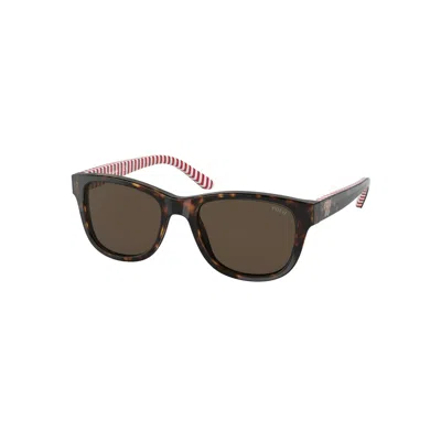 Ralph Lauren Men's Sunglasses  Pp9501-593673  47 Mm Gbby2 In Brown