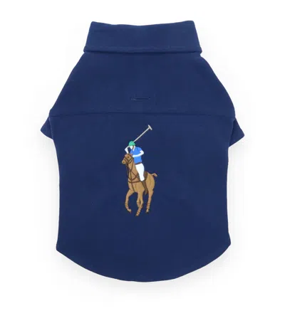 Ralph Lauren Mesh Cotton Polo Pony Dog Shirt In Blue