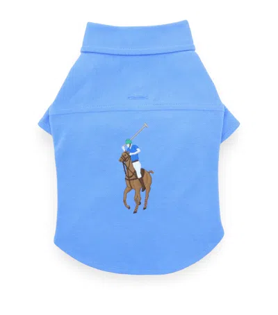 Ralph Lauren Mesh Cotton Polo Pony Dog Shirt In Blue
