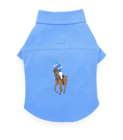 Ralph Lauren Mesh Cotton Polo Pony Dog Shirt In Blue
