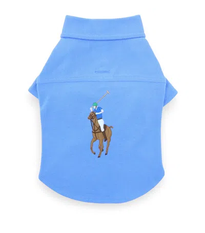 Ralph Lauren Mesh Cotton Polo Pony Dog Shirt In Blue