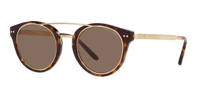 Polo Ralph Lauren Ralph Lauren 49mm Round Sunglasses In Dark Havana/brown
