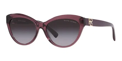 Ralph Lauren Mod. Rl 8213 In Brown