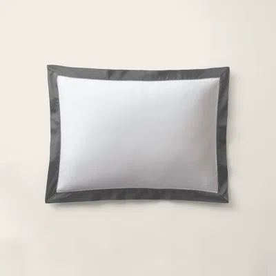 Ralph Lauren Organic Cotton Sateen Border Sham In True Graphite In Gray