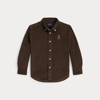 Ralph Lauren Kids' Polo Bear Cotton Corduroy Shirt In Nutmeg Brown