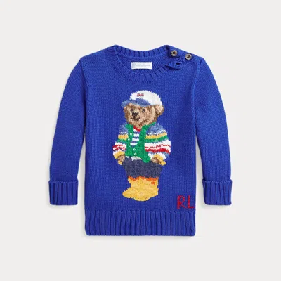 Polo Ralph Lauren Babies' Polo Bear Cotton Sweater In Royal Blue