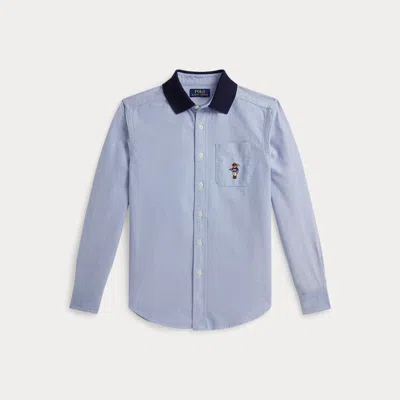 Ralph Lauren Kids' Polo Bear Oxford Knit-collar Shirt In Blue In Pink