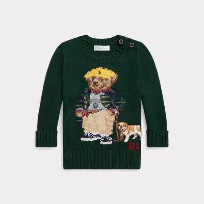 Ralph Lauren Babies'  Polo Bear Sweater In Green
