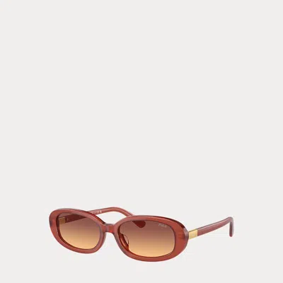 Polo Ralph Lauren Polo Oval Sunglasses In Shiny Opal Cognac
