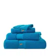 Polo Ralph Lauren Polo Player Hand Towel In Turquoise
