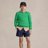 Polo Ralph Lauren Kids' Cable-knit Cotton Sweater In Tiller Green