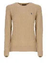 Ralph Lauren Pony Sweater In Brown