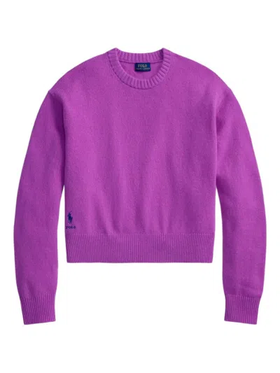 Ralph Lauren Purple Crew Neck Sweater In Gold