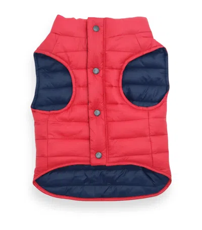 Ralph Lauren Reversible Puffer Dog Jacket In Red