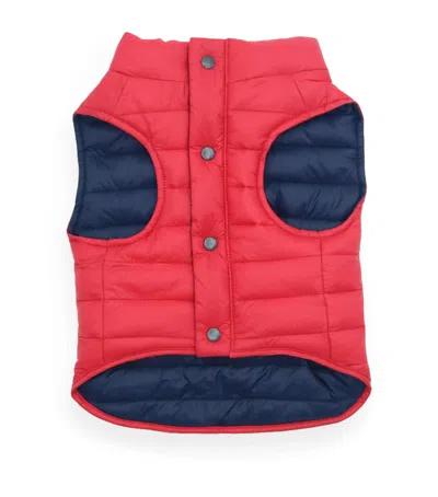 Ralph Lauren Reversible Puffer Dog Jacket In Red