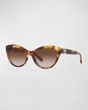 Ralph Lauren Rl Monogram Gradient Acetate Cat-eye Sunglasses In Havana