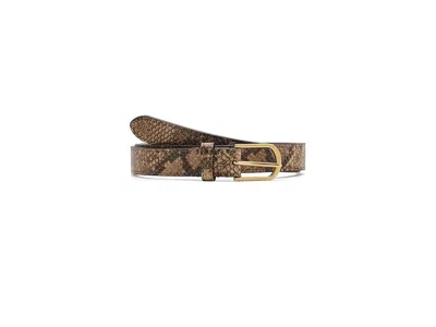 Ralph Lauren Rounded-buckle Embossed Skinny Belt Women's Belts Tan/multicolor: Xl (40" Waist) In Brown