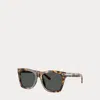 Ralph Lauren Stirrup Ricky Sunglasses In Neutral