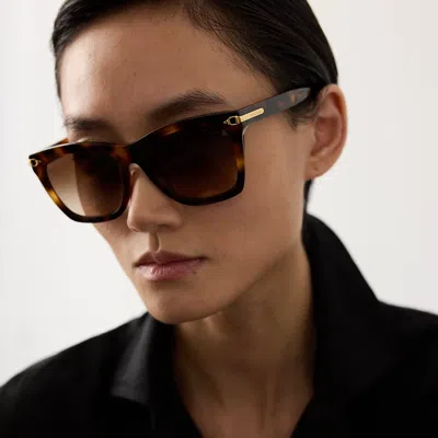 Ralph Lauren Stirrup Ricky Sunglasses In Havana In Brown