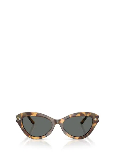 Ralph Lauren Sunglasses In Brown