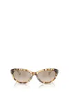 Ralph Lauren Rl Oval Sunglasses In Brown