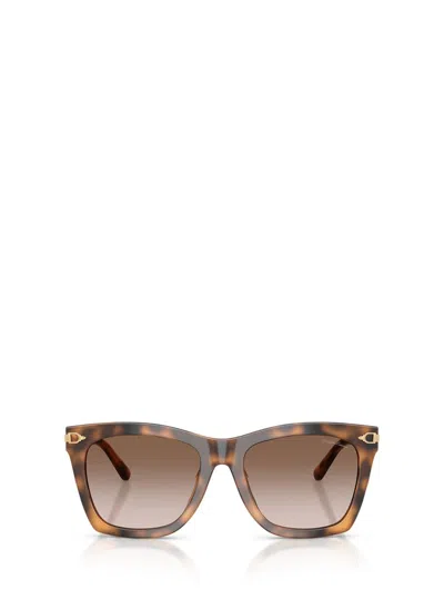 Ralph Lauren Sunglasses In Brown