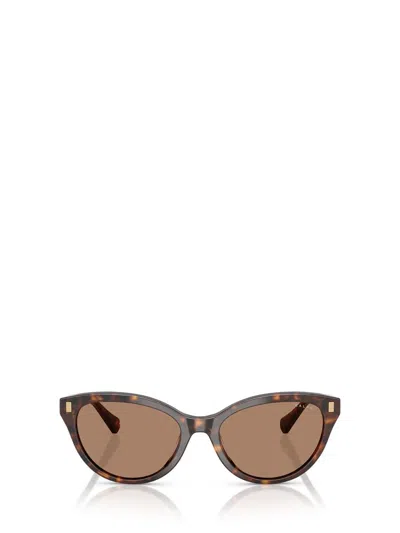 Ralph Lauren Sunglasses In Brown