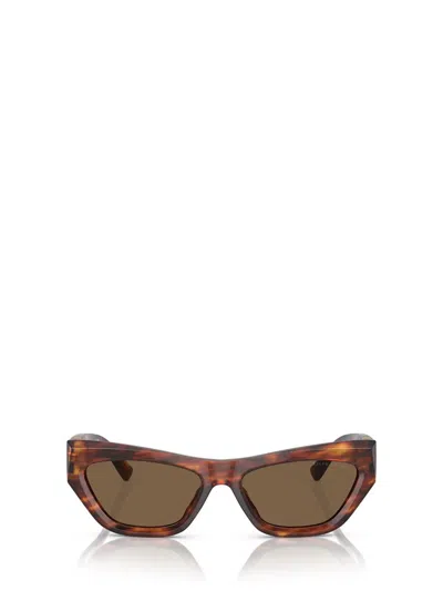 Ralph Lauren Sunglasses In Brown
