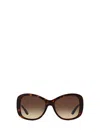 RALPH LAUREN RALPH LAUREN SUNGLASSES