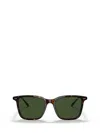 RALPH LAUREN RALPH LAUREN SUNGLASSES