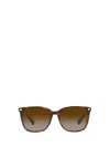 RALPH LAUREN RALPH LAUREN SUNGLASSES