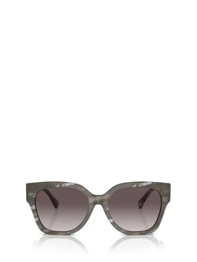 Polo Ralph Lauren Ralph Lauren Sunglasses In Oystershell Black