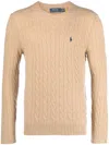 Ralph Lauren Sweaters In Brown