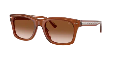 Ralph Lauren Unisex Sunglass Rl8237u In Brown