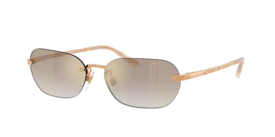 Ralph Lauren Woman Sunglass Rl7089 In Brown
