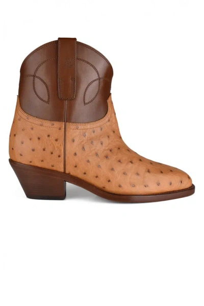 Polo Ralph Lauren Ralph Lauren Women Jayme Boots In Brown