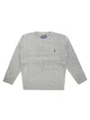 Ralph Lauren T Girl Maglia Gc Trecce In Gray