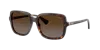 Ralph Woman Sunglass Ra5333u In Polar Brown Gradient