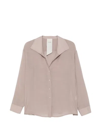 Rame Spread-collar Button-up Shirt In Pink