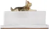 Rami Kim Studio Ssense Exclusive White Yorkie Butter Dish In Yorkie